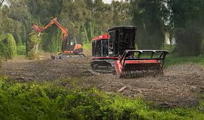 land clearing in lodi ca