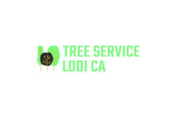 tree service lodi ca