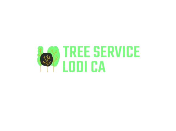 tree service lodi ca